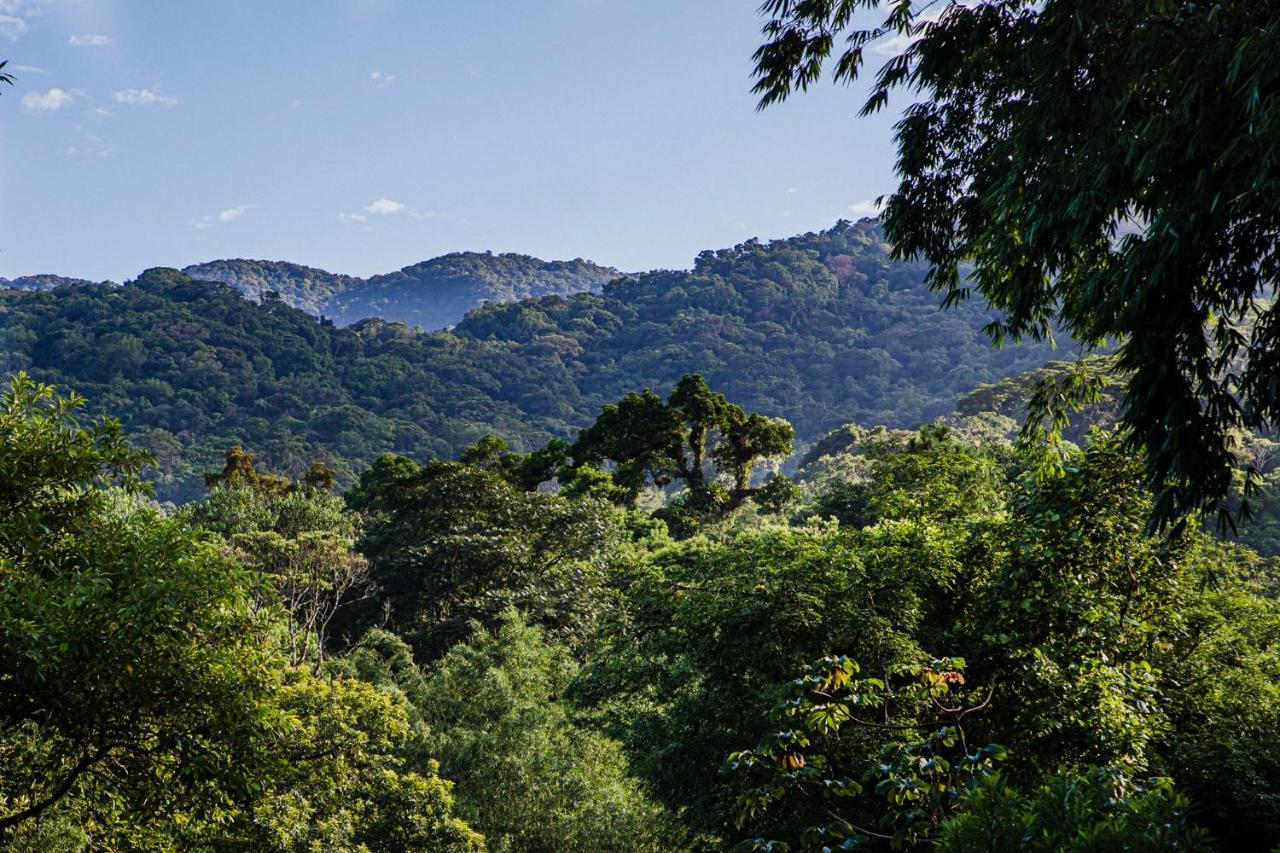 Hotel Casa Bacarirá - Floresta com Yoga e Café da Manhã Vegano Camburi  Exterior foto