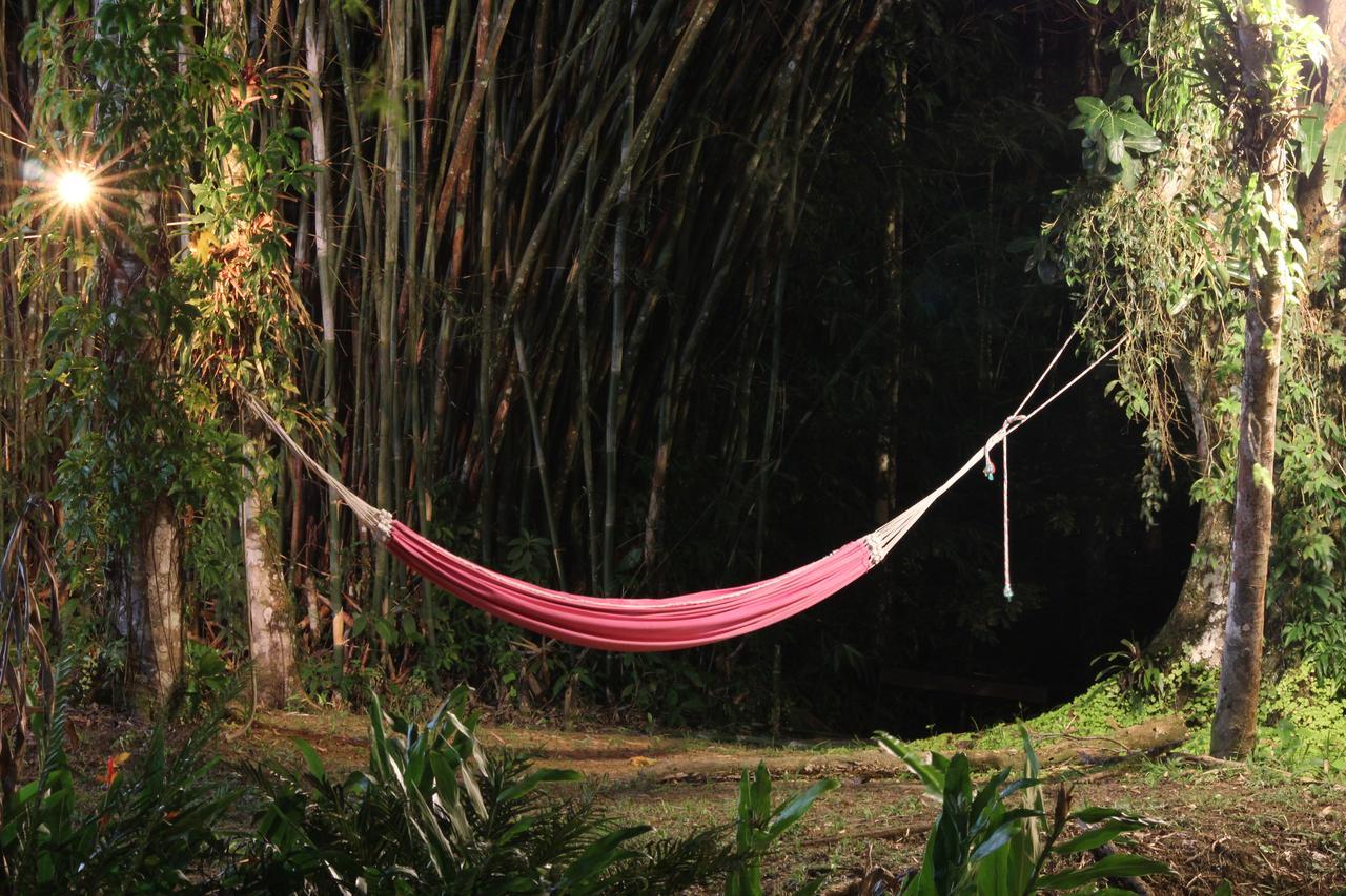 Hotel Casa Bacarirá - Floresta com Yoga e Café da Manhã Vegano Camburi  Exterior foto