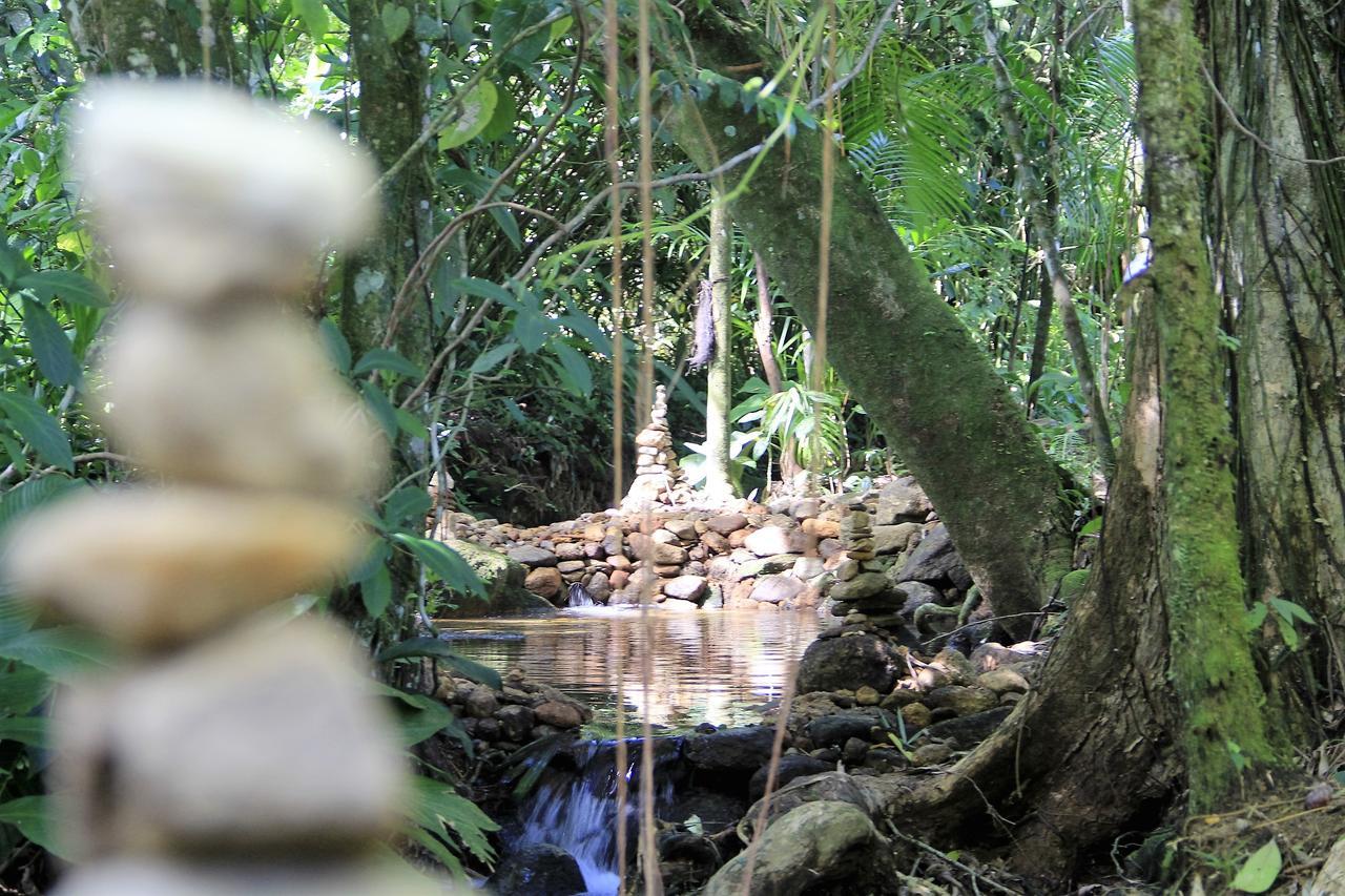 Hotel Casa Bacarirá - Floresta com Yoga e Café da Manhã Vegano Camburi  Exterior foto