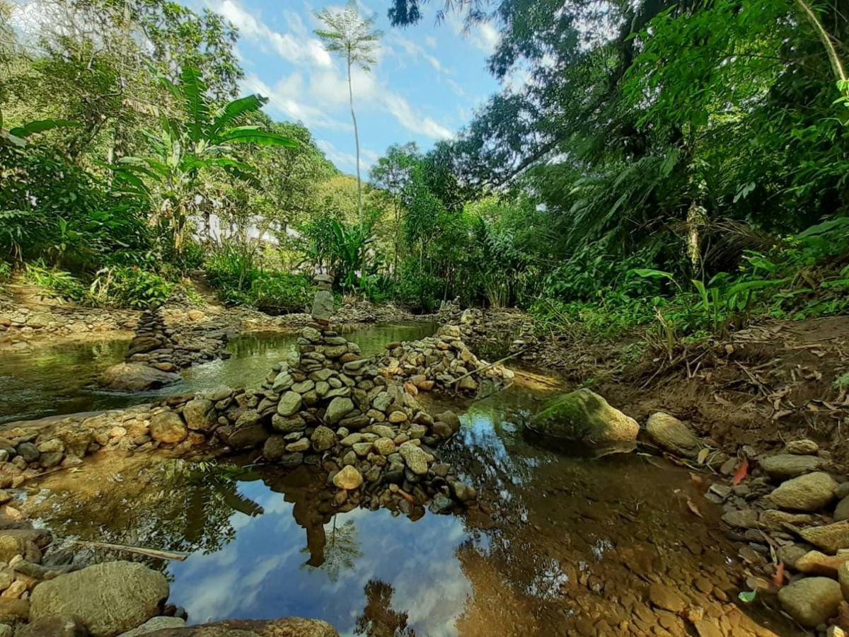 Hotel Casa Bacarirá - Floresta com Yoga e Café da Manhã Vegano Camburi  Exterior foto