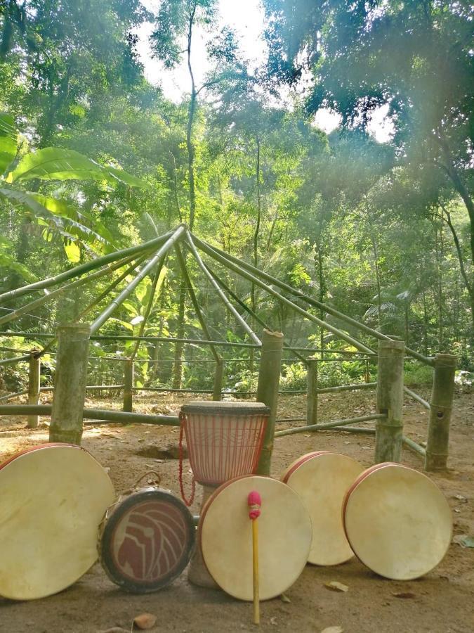 Hotel Casa Bacarirá - Floresta com Yoga e Café da Manhã Vegano Camburi  Exterior foto